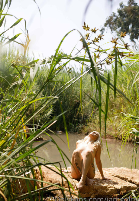 Yuval Gold perfekte nette archiv