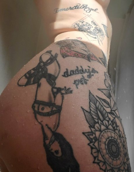 hase nur fans perfekte nette galerie