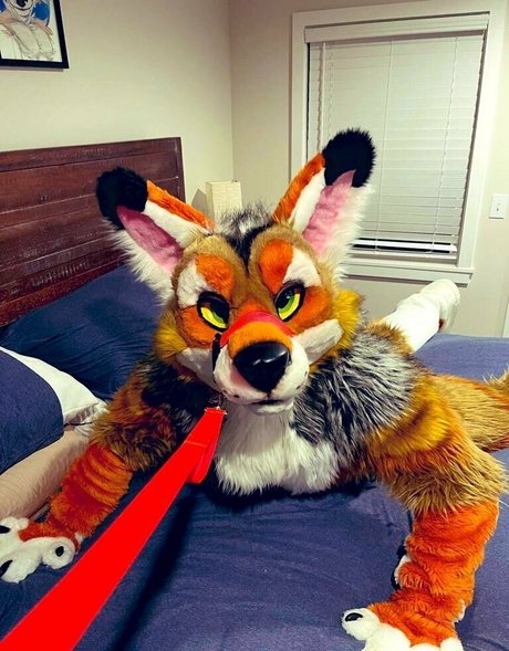 anejo xxx kaii kunst exklusive galerie