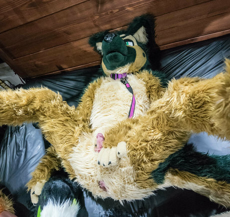 anejo xxx kaii pornostar perfekte galerien