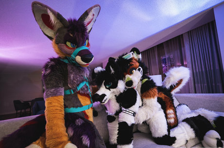 anejo xxx kaii Bilder