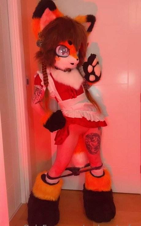 emberstarfur hd kostenlose bilder