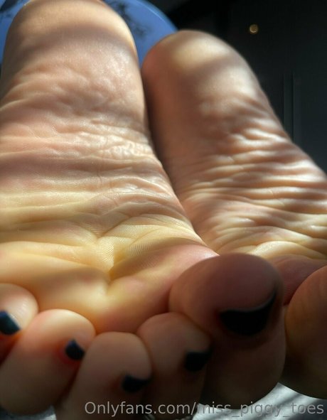 miss piggytoes beste top bild