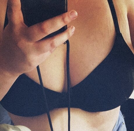 Miaubooooooobs kostenlose hd foto