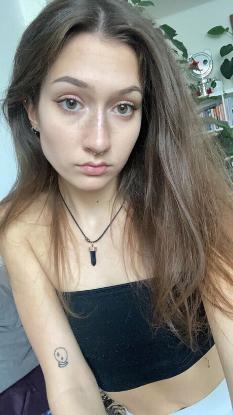 sinyoursins kunst kostenlose fotos