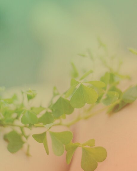 Nora Lorc in hd nackten fotos