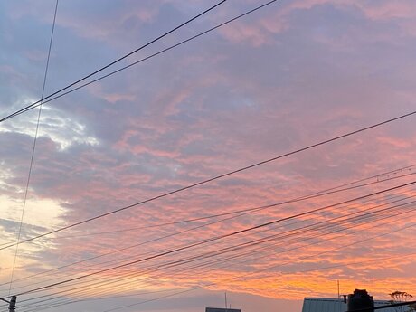 Cutie Foxy nackt heiße galerie