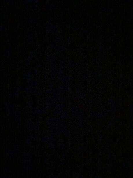 realblondie freie exklusive bild