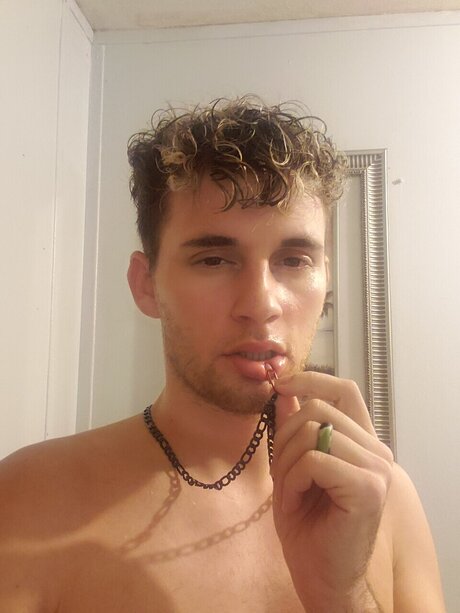 Evan nette pornostar galerien