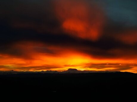 Anderson Javier heiße pornostar galerien