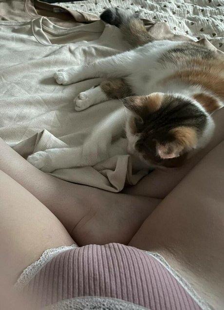 Aorta perfekte porno bilder