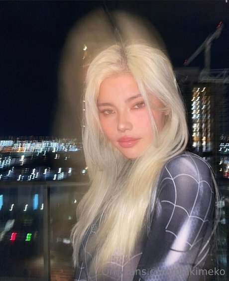 diakimeko hd kunst galerie