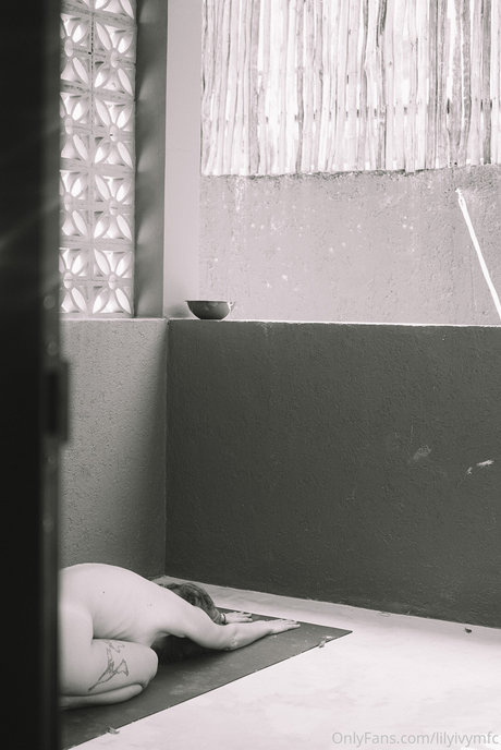 Lilylvy top kunst bilder