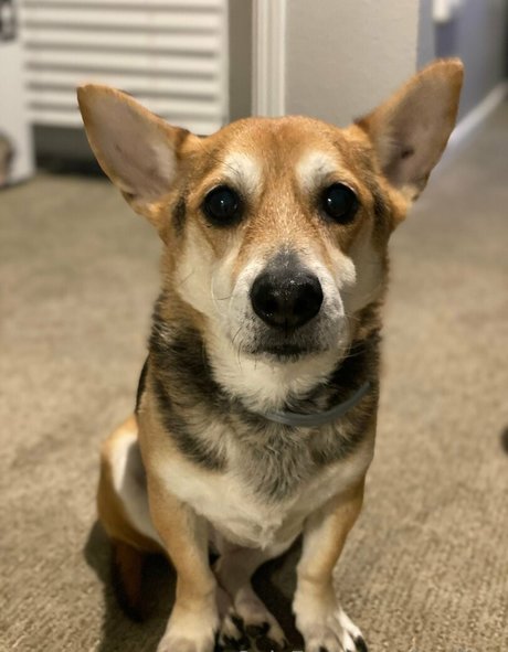 dünne große titten nur fans kunst hd galerien