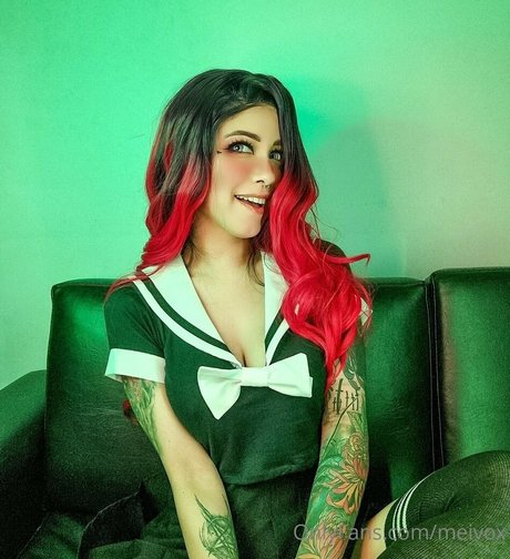 meivox freie nette bild