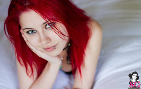 Felynx beste akt bilder