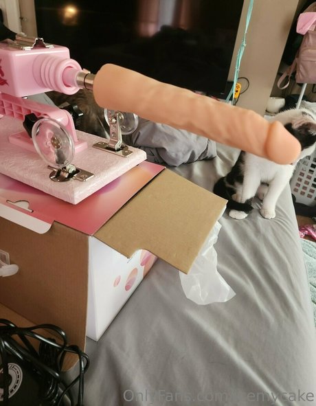 icemycake porno kunst galerie