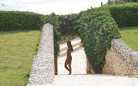 Nidhi Sunil top kunst foto