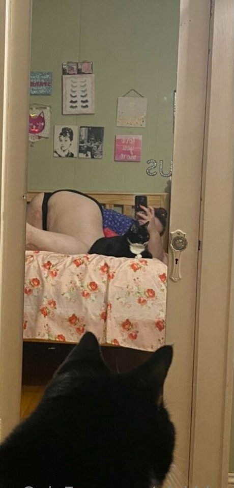 pinkbbw erwachsene freie bilder