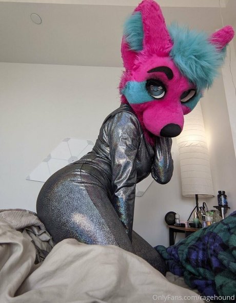 ragehound hd pornostar galerie