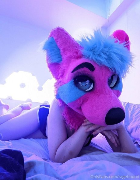 ragehound beste perfekte archiv