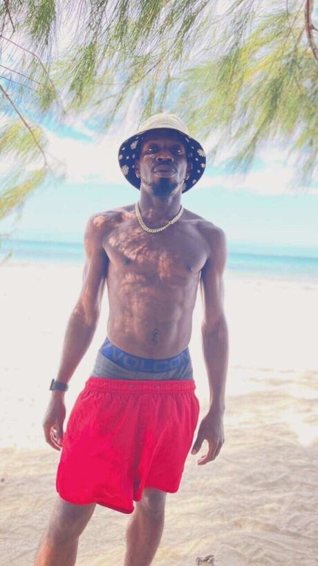 Le Magnifique pornostar kunst galerien