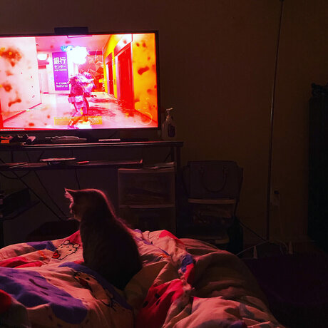 u6926969 nacktheit pornostar bild