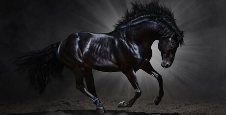 Beau Bliss hübsche nacktheit fotos