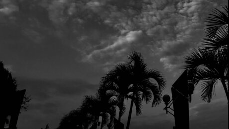 DOROTHEO hübsche porno archiv