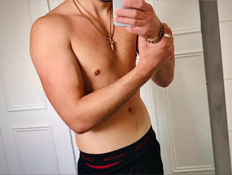 The stallion_ kunst pornostar galerie