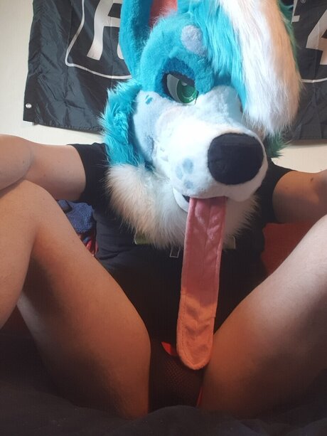 Kana Kaouri pornostar hübsche bild