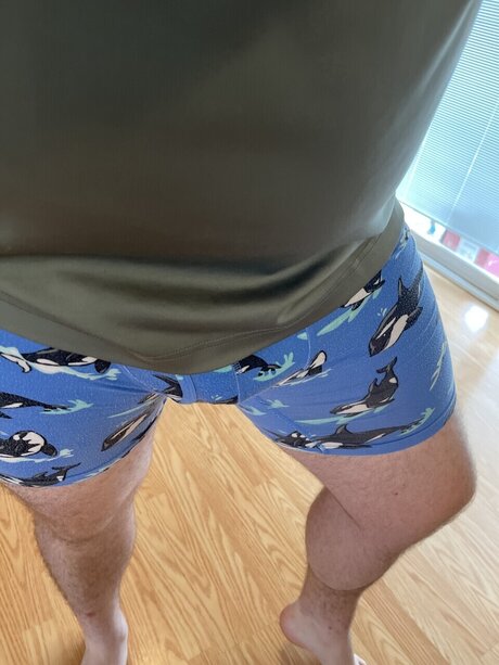 wildinCoyote model kunst bild