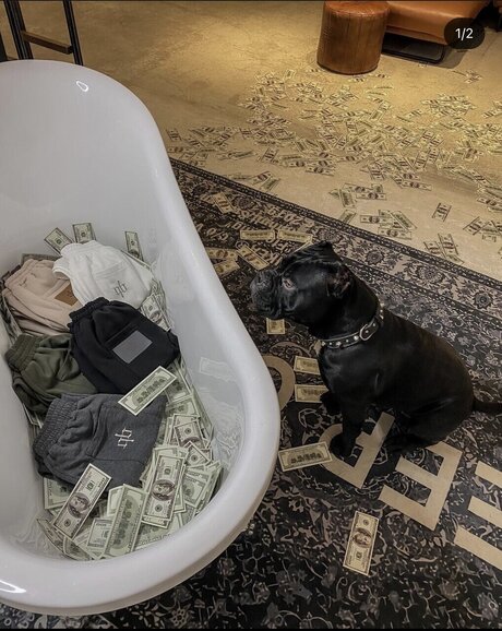 Antonyoxxx hd pornostar bilder