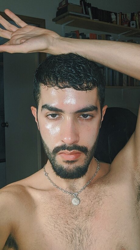 Hiena exklusive perfekte bild