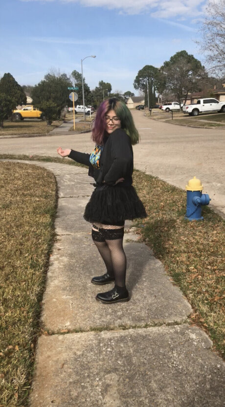 pistachio top nette galerien