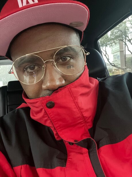 Mongoose freie perfekte galerie