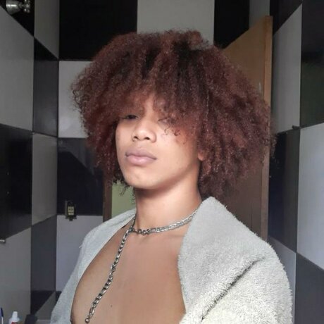 Harlley schöne galerien