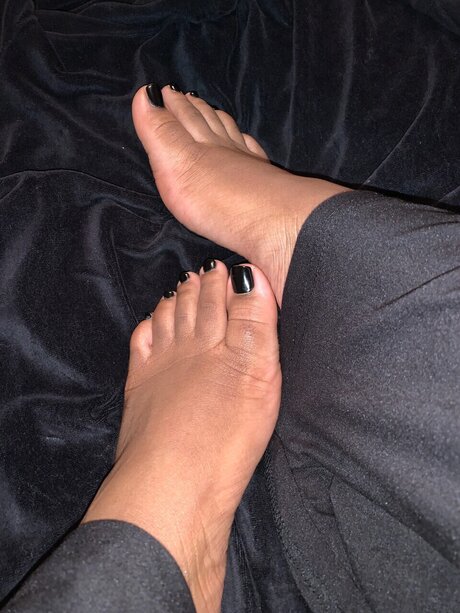 Mirrord nette galerien