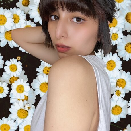 Kori top schöne foto