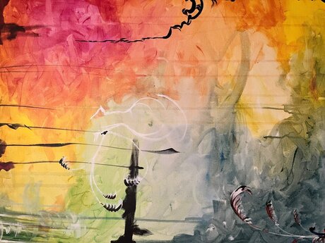 Ham Hawks schöne bilder