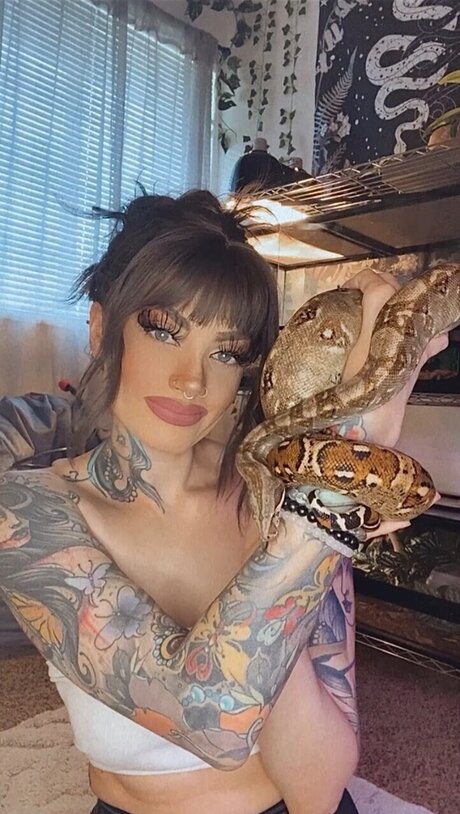 Dannicka schöne hd archiv