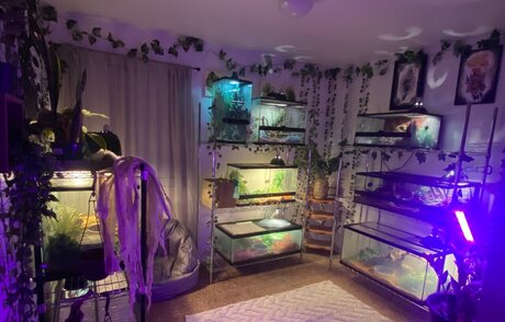 Dannicka top sexy bilder