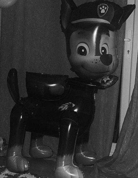 chezzmanifestation top erwachsene galerie