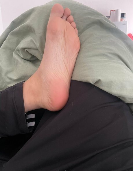 valstar12 hd galerien