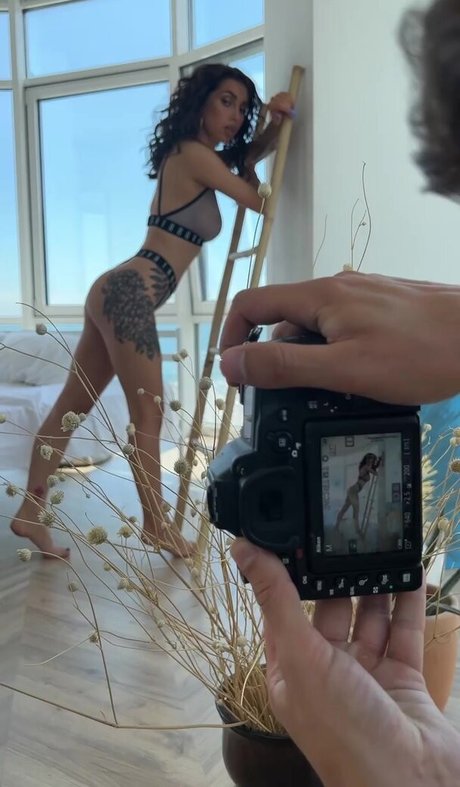 schwänze nur fans kunst xxx archiv