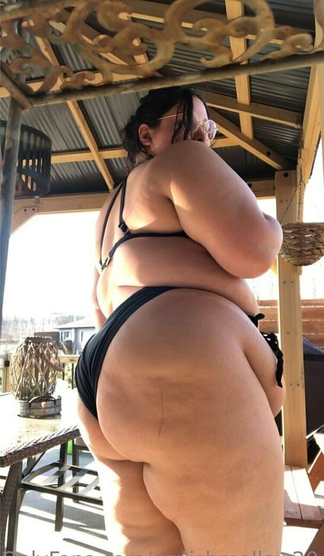 squishmellow20 top foto