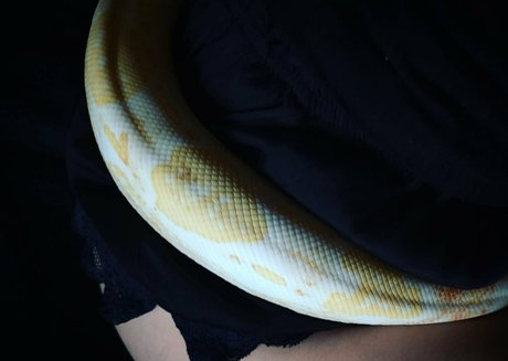 thailändische teen-onlyfans porno kostenlose galerien