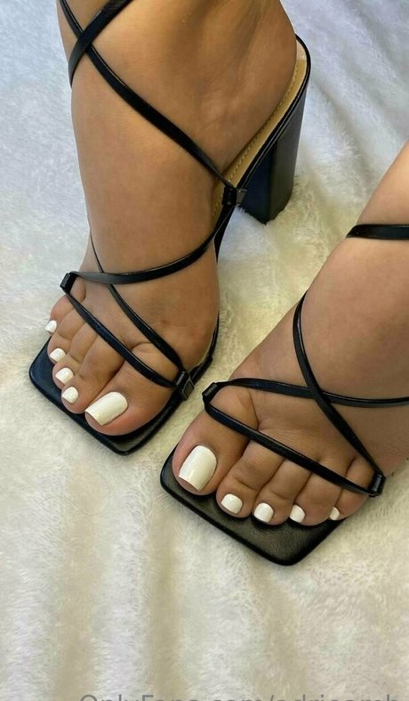 Adrieamb exklusive nette galerie