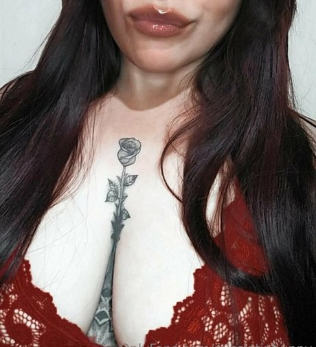 misslatinbunny beste kunst archiv