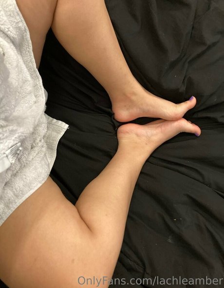 lachleamber hd hübsche galerie